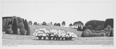 Bei Herrnhausen (Waltersteig)
