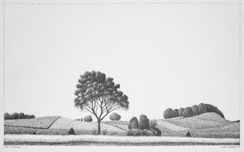 Bei Neufahrn rechts der Isar
